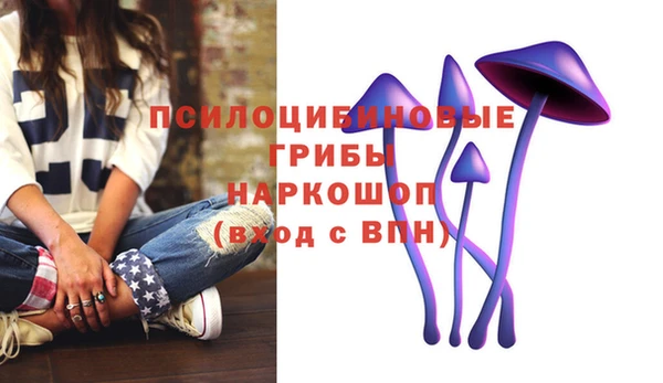сатива Абинск