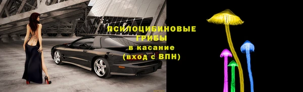 сатива Абинск