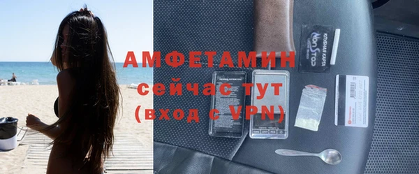 сатива Абинск